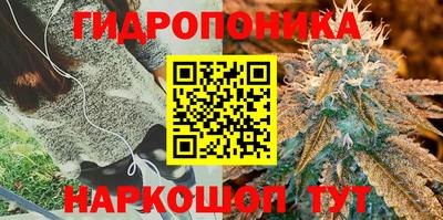 ПСИЛОЦИБИНОВЫЕ ГРИБЫ Кулебаки