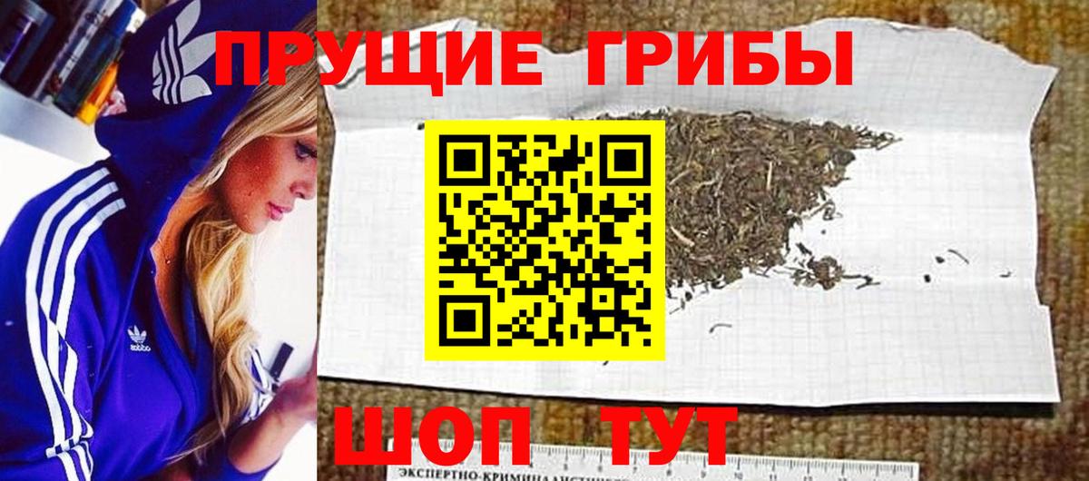 Псилоцибиновые грибы мухоморы  Вход с VPN  Елец 