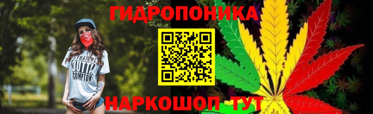 Марихуана White Widow  МАРИХУАНА тримм  Вход с VPN  Елец  Бошки Шишки OG Kush  Бошки Шишки тримм 